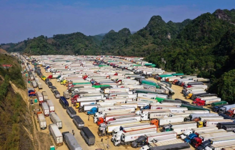 Thực phẩm nhập khẩu ách tắc, 3 bộ họp gỡ vướng