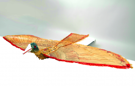 Chuyên gia Vũ Đỗ và hành trình đánh thức con diều