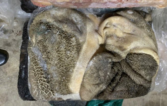 Liên tục phát hiện thực phẩm ‘3 không’ tại TPHCM