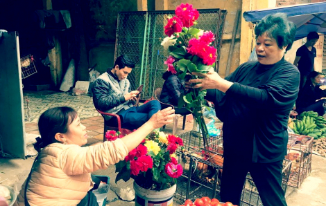 Chở mẹ đi qua mùa hoa tết