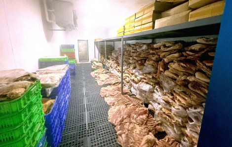 Mua thịt rừng, coi chừng bị lừa, bị phạt