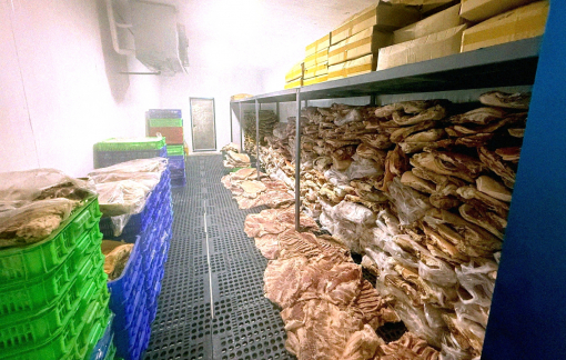 Mua thịt rừng, coi chừng bị lừa, bị phạt