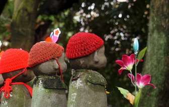 Nguy cơ sẩy thai có thể xuất hiện từ khi người mẹ... chưa chào đời