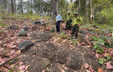 Phát hiện bãi đá có họa tiết lạ trong Vườn quốc gia Yok Đôn