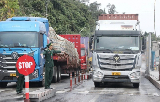 Tạm dừng áp dụng Nghị định số 46 về an toàn thực phẩm đến hết ngày 15/4/2026