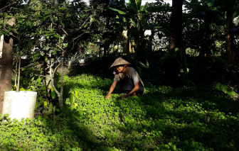 Cuối năm, ám ảnh câu hỏi “Tết này được thưởng nhiều không con?”