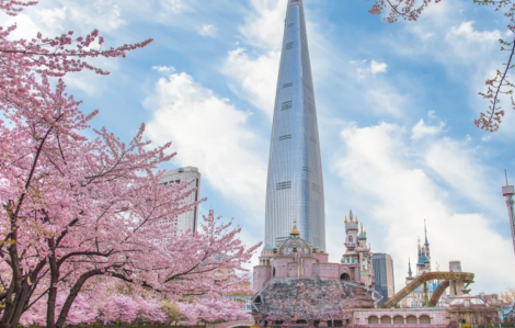 Những điểm đến lý tưởng để ngắm cảnh đẹp Hàn Quốc mùa xuân