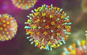 Bangladesh ghi nhận ca tử vong đầu tiên do vi rút Nipah