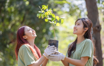 Chơi trò chơi với biến đổi khí hậu