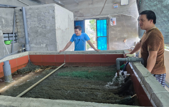 Tự ấp trứng lươn, mở lối làm giàu cho quê hương