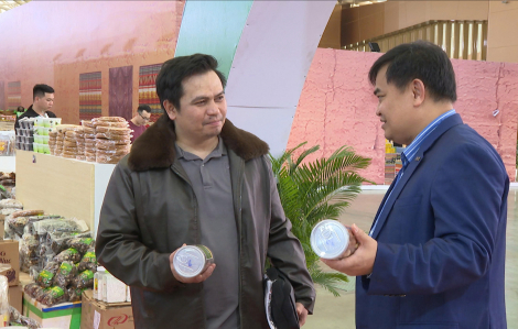 Doanh nghiệp Philippines “săn” nguồn nông sản Việt tại Hội chợ Mùa Xuân