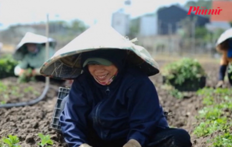 Hơi ấm mùa xuân ngập tràn nơi rốn lũ Nghệ An
