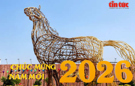 Ngựa khổng lồ cao 8m xuất hiện trên khu ‘đất vàng’ đường Trần Phú