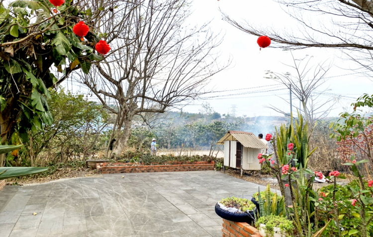 Lá khô, khói lam và mẹ