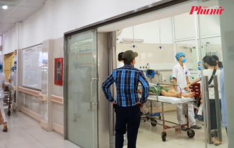 Ăn cá mú đỏ, 4 người trong 1 gia đình ở TPHCM bị ngộ độc nặng