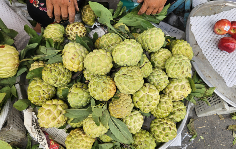 Mua 1kg mãng cầu tốn 100.000 đồng