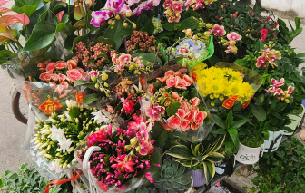 Tết để trở về