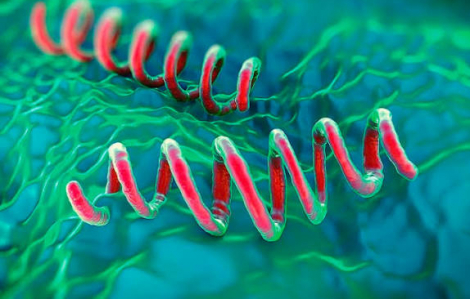 Bé 3 tuổi không có biểu hiện lạ vẫn mắc giang mai