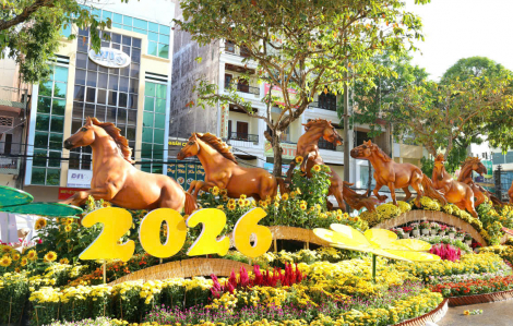 Đường hoa nghệ thuật Cần Thơ khai mạc phục vụ người dân và du khách vào tối 27 tháng Chạp