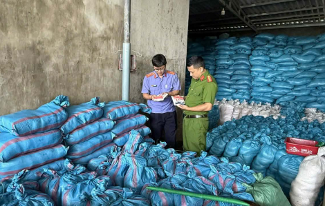 Khởi tố nữ giám đốc doanh nghiệp sản xuất hàng ngàn tấn muối I ốt giả bán ra thị trường