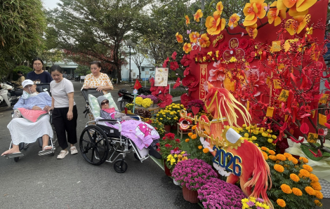 “Mùa xuân ai đi hái hoa, còn tôi… đi chăm mẹ bệnh”