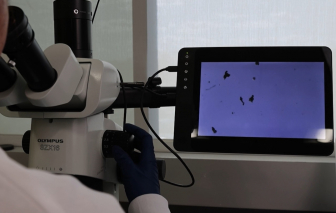 Phương pháp mới phát hiện trứng bị bỏ sót, tăng cơ hội điều trị hiếm muộn