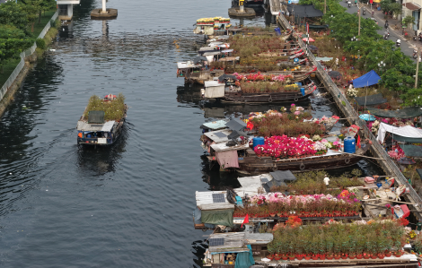 Rộn ràng chợ hoa xuân ‘Trên bến dưới thuyền’