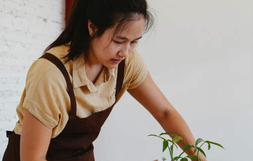 Cách giữ nhà cửa luôn sạch sẽ trong những ngày tết bận rộn