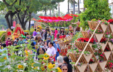 Đường hoa “phố nhà giàu” Phú Mỹ Hưng hút khách