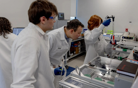 Tin vui ngày Lễ Tình nhân: Công nghệ mới tìm được trứng ẩn để hỗ trợ điều trị vô sinh