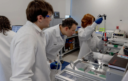 Tin vui ngày Lễ Tình nhân: Công nghệ mới tìm được trứng ẩn để hỗ trợ điều trị vô sinh