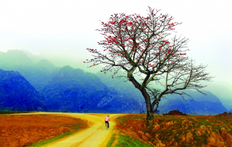 Truyện ngắn - Trở về