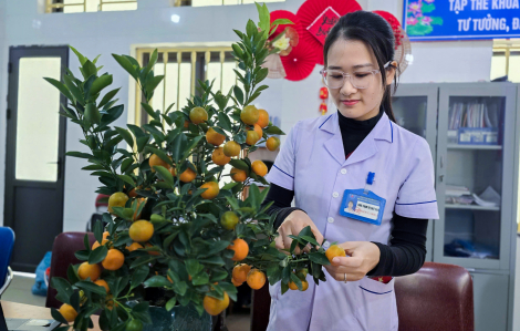 'Gác tết' chăm sóc sức khỏe cho bệnh nhân