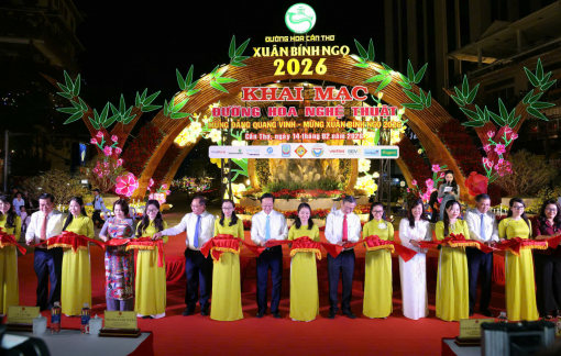 Đường hoa Cần Thơ rực rỡ sắc xuân với hơn 30 mô hình nghệ thuật