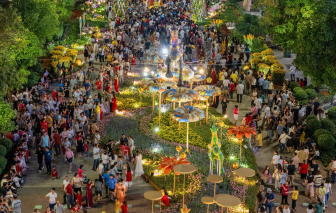 Du xuân đường hoa Nguyễn Huệ tết Bính Ngọ 2026