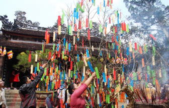 Hái lộc đầu năm – Mang về một nhành xanh hay để lại một vết thương cành?