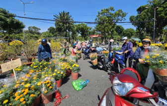 Trưa 29 tết, hoa kiểng đại hạ giá, có loại còn 30.000 đồng/chậu