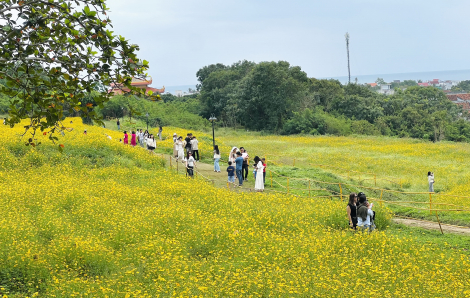 Rủ nhau check in đồi hoa bươm bướm hot rần rần ở Đắk Lắk