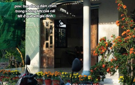 Dân mạng đua nhau khoe 'tết miền Tây sản xuất theo lô'