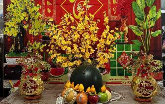 Hết tết, ba má lại vào ra quạnh quẽ