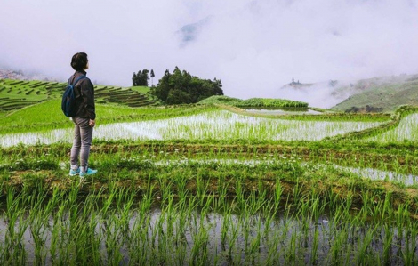 Con có thể ở lại với ba mẹ thêm một ngày được không?