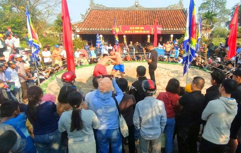 Tưng bừng hội vật truyền thống làng Thủ Lễ
