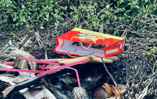 Đầu năm bán kiến, cả năm an lòng