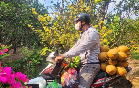 Cha mẹ gói vị xuân cho tết thêm dài