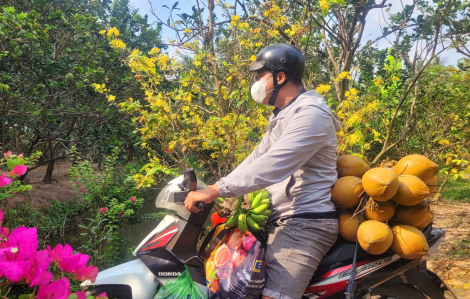 Cha mẹ gói vị xuân cho tết thêm dài