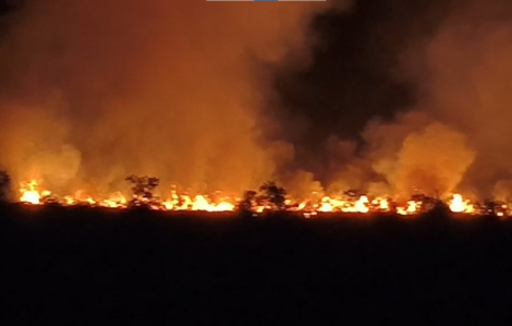 Cháy khu bảo tồn ở An Giang