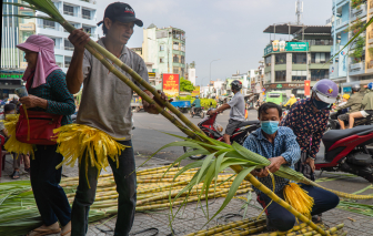 'Chợ mía' vía Trời họp mỗi năm 1 lần ở TPHCM