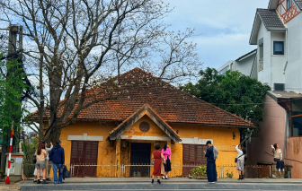 Đà Lạt trắng trời mùa hoa ban