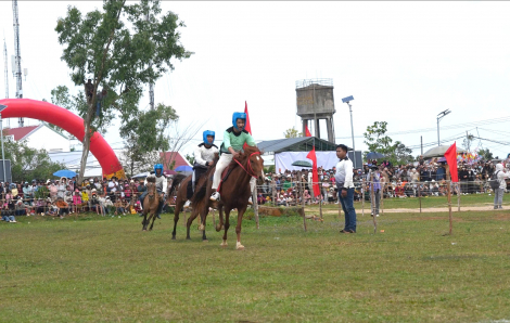Những “kỵ sĩ nông dân” làm nóng đường đua ngựa Gò Thì Thùng