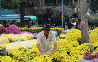 Lượng người đến Hội hoa xuân ở TPHCM giảm mạnh